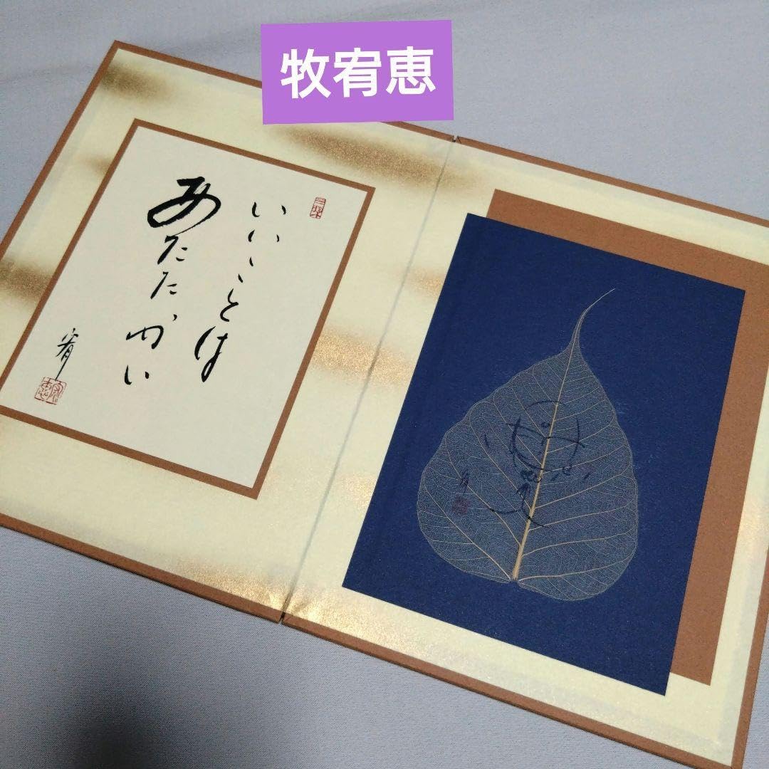 書道 硯 雨畑硯4 雨畑真石水岩 芳龍閣 清石作 木蓋付 Amazon.co.jp